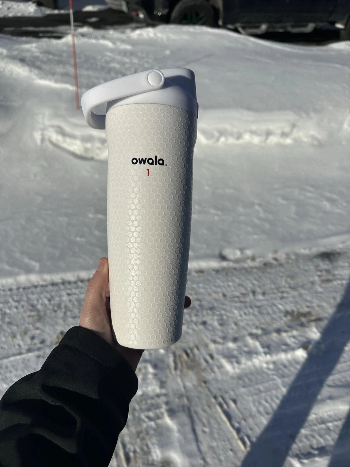 Owala Fairways For Days 30oz Sway Bottle