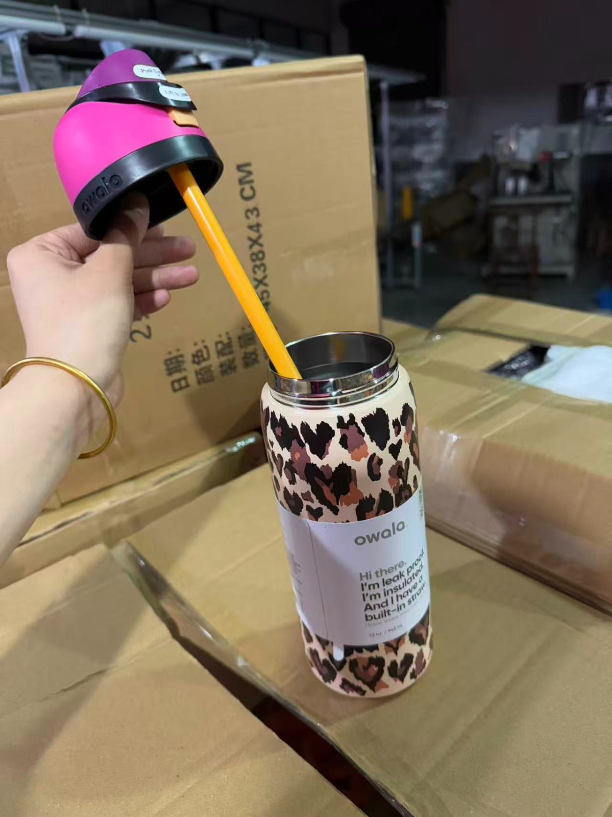 Owala FreeSip 32oz Wild At Heart UO Cheetah Leopard Print Water Bottle - Hydrate Hub